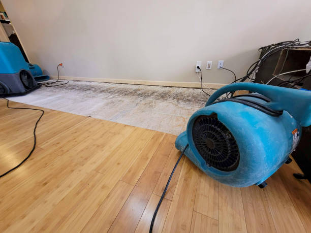 Professional Structural Drying technician working in Harrisburg, MO